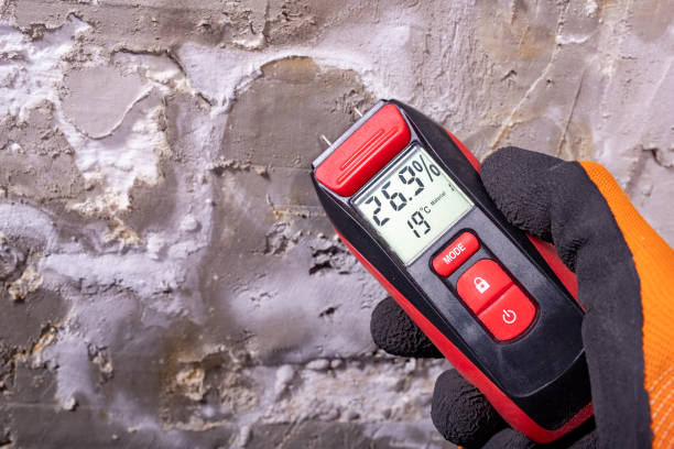 Best Mold Remediation Services  in Powdersville, SC