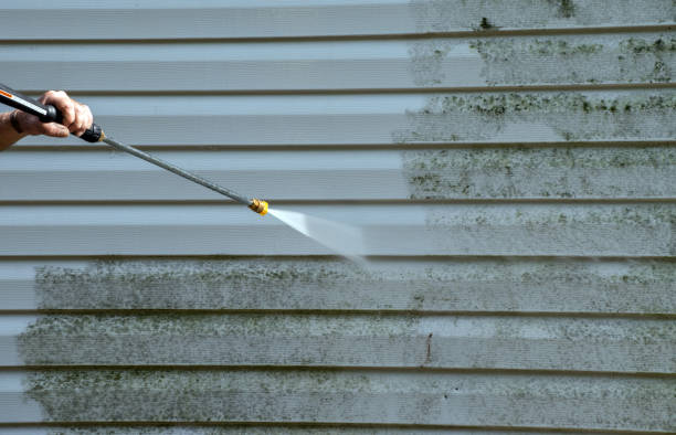 Certified Mold Removal in Powdersville, SC
