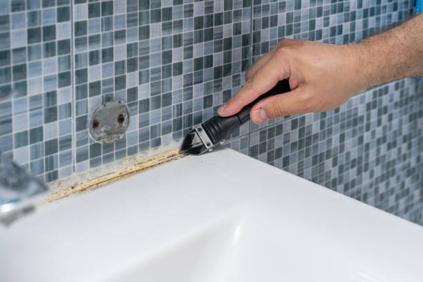 Best Emergency Mold Removal  in Powdersville, SC